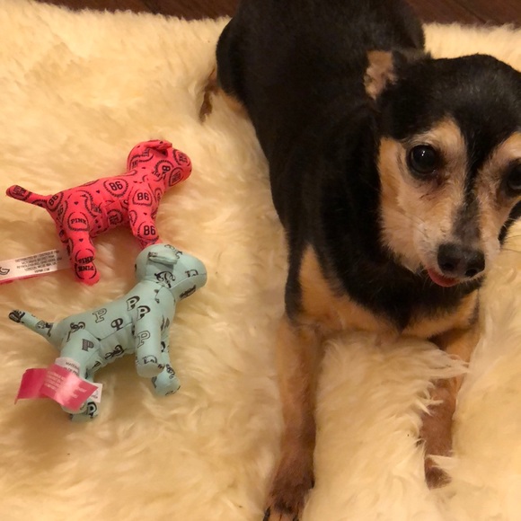 PINK Victoria's Secret Handbags - Pink VS Rare mini mini dogs,